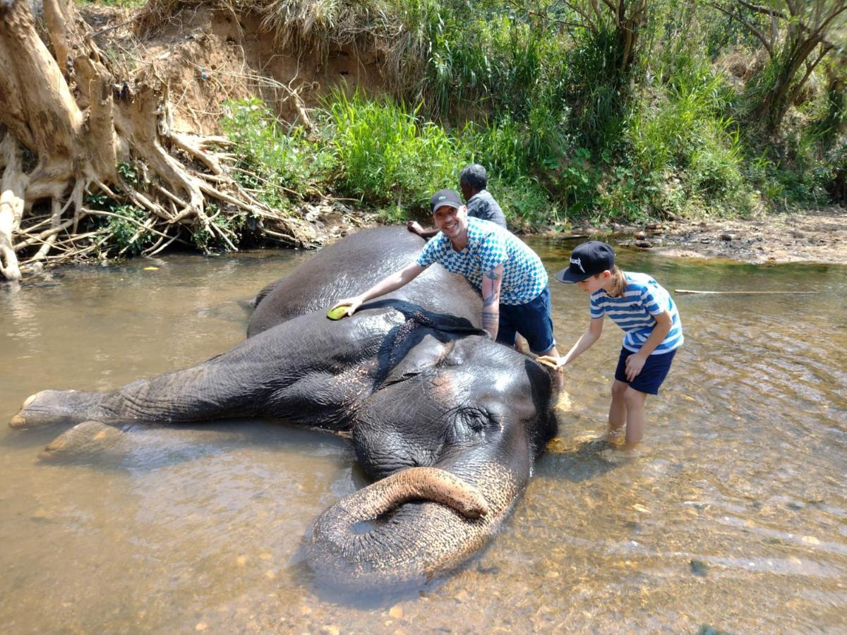 Dambulla Sun Vsh Holiday ภายนอก รูปภาพ