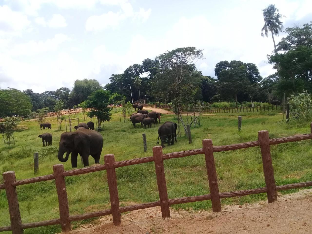 Dambulla Sun Vsh Holiday ภายนอก รูปภาพ